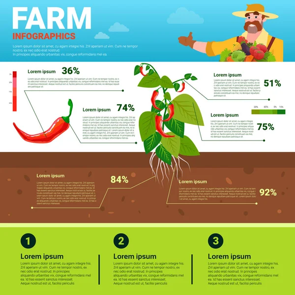 Infografías agrícolas Eco Friendly Organic Natural vegetable Growth Farm Production Banner con espacio de copia — Vector de stock