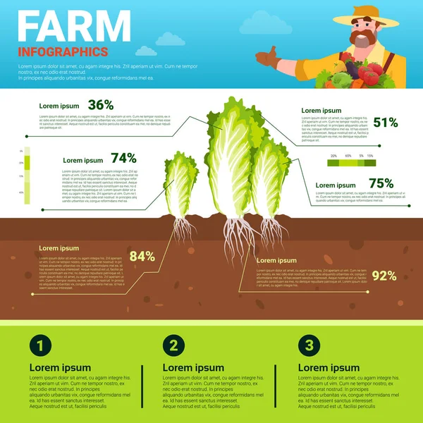 Infografías agrícolas Eco Friendly Organic Natural vegetable Growth Farm Production Banner con espacio de copia — Vector de stock