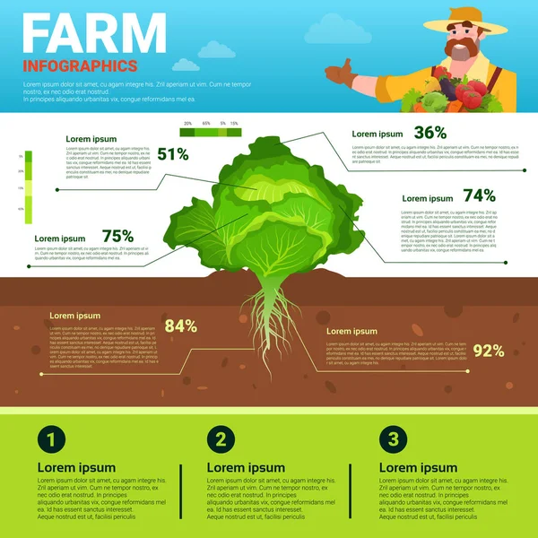 Infografías agrícolas Eco Friendly Organic Natural vegetable Growth Farm Production Banner con espacio de copia — Archivo Imágenes Vectoriales