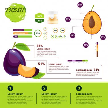 Büyüme, tarım ve tarım taze organik Infographics doğal meyve
