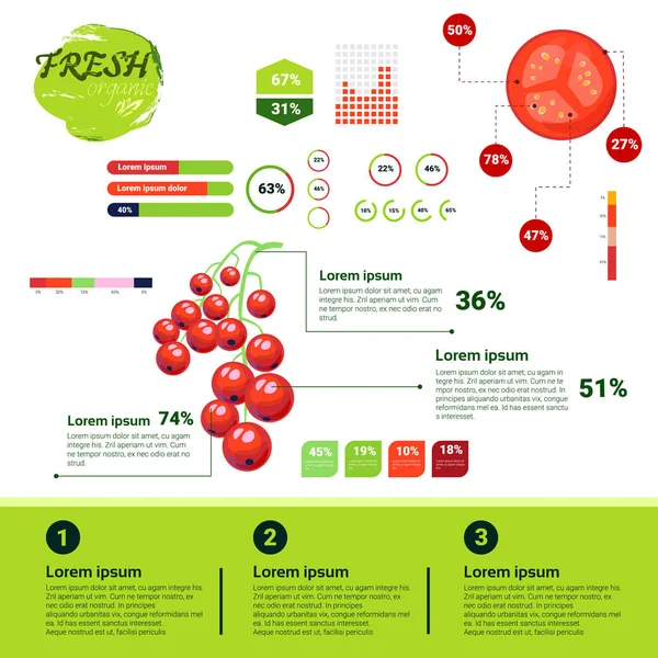 Infográficos orgânicos frescos Crescimento de frutas naturais, agricultura e agricultura — Vetor de Stock