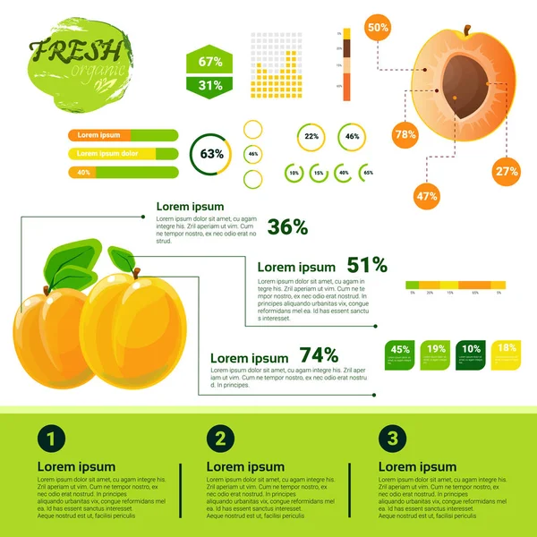 Infográficos orgânicos frescos Crescimento de frutas naturais, agricultura e agricultura — Vetor de Stock