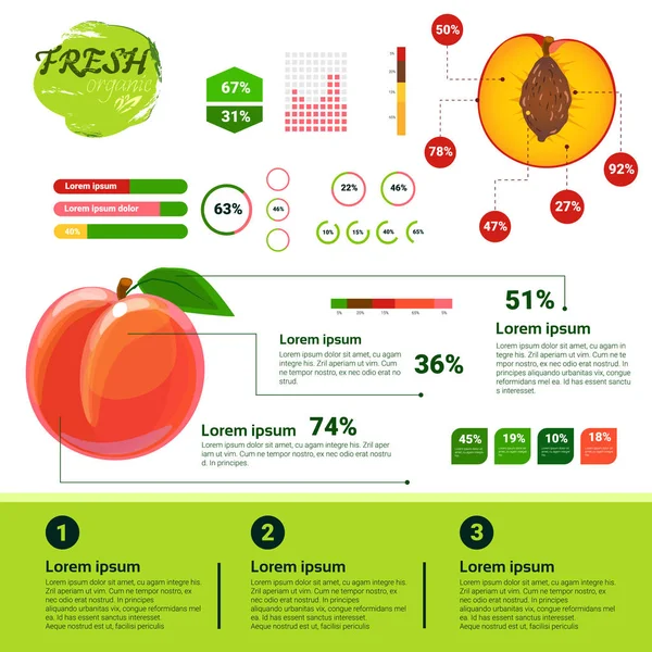 Infográficos orgânicos frescos Crescimento de frutas naturais, agricultura e agricultura — Vetor de Stock