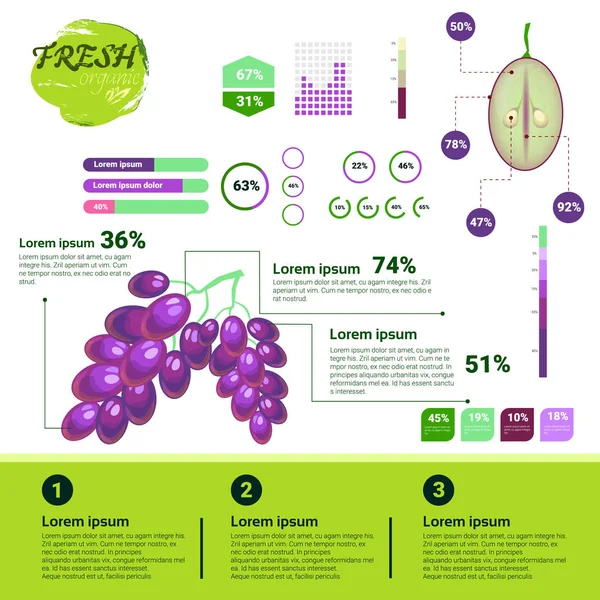 Infografías ecológicas frescas Frutas naturales Crecimiento, agricultura y agricultura — Vector de stock