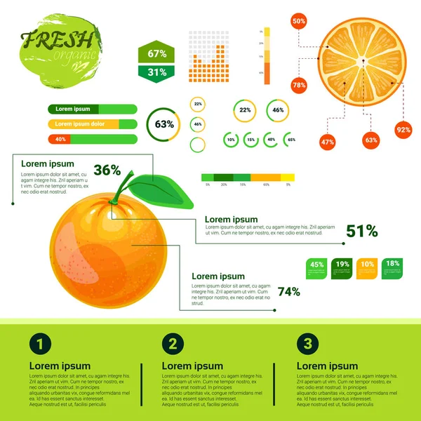 Infografías ecológicas frescas Frutas naturales Crecimiento, agricultura y agricultura — Vector de stock