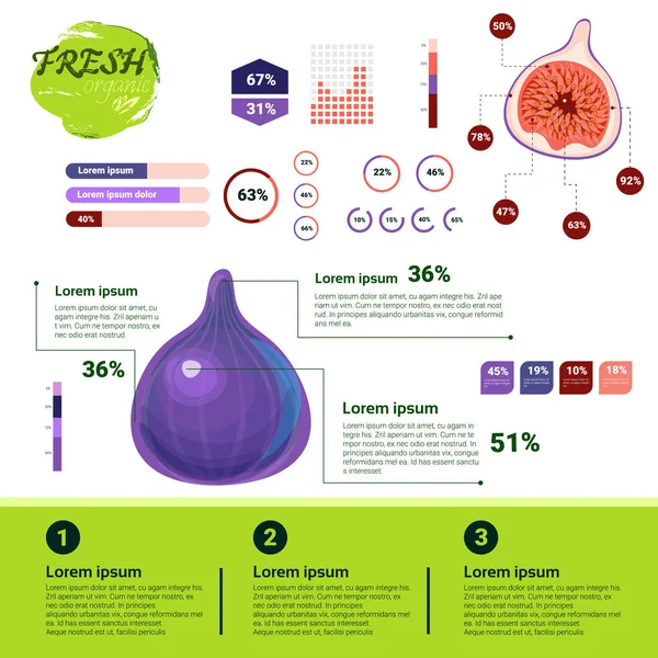 Infografías ecológicas frescas Frutas naturales Crecimiento, agricultura y agricultura — Vector de stock