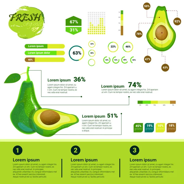 Fresh Organic Infographics Natural Fruits Growth, Agriculture and Farming — стоковый вектор