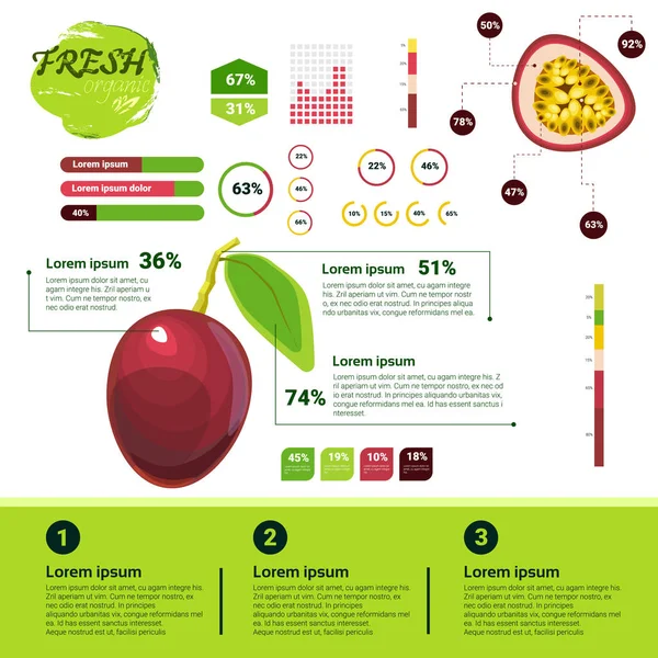 Infografías ecológicas frescas Frutas naturales Crecimiento, agricultura y agricultura — Vector de stock