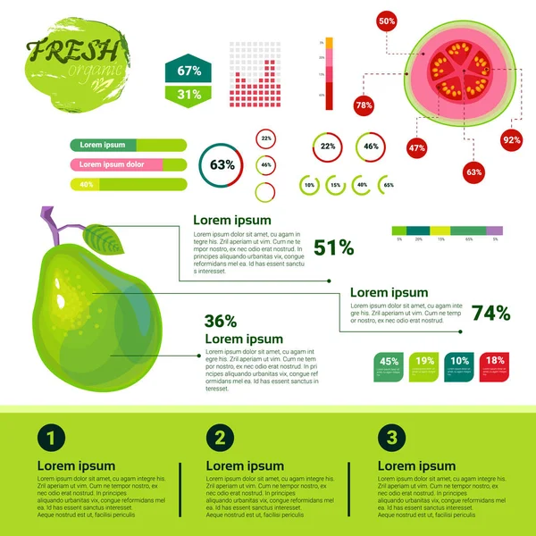 Infográficos orgânicos frescos Crescimento de frutas naturais, agricultura e agricultura — Vetor de Stock