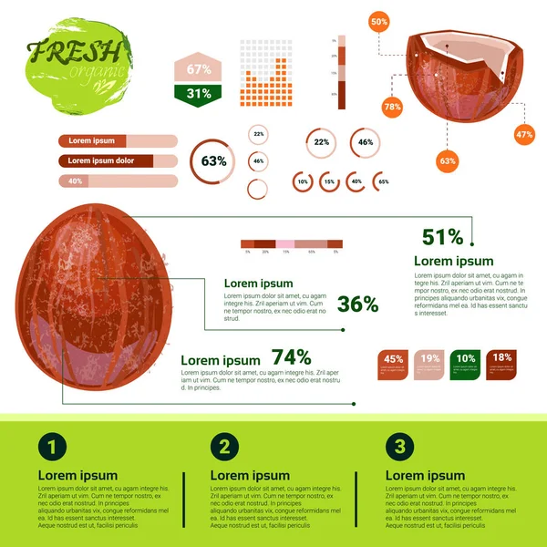 Infografías ecológicas frescas Frutas naturales Crecimiento, agricultura y agricultura — Vector de stock