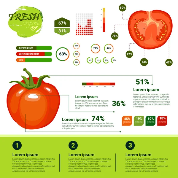 Infografías orgánicas frescas Vagetables naturales Crecimiento, agricultura y agricultura — Vector de stock