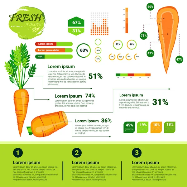 Čerstvé organické přírodní infografiky Vagetables růst, zemědělství a farmaření — Stockový vektor