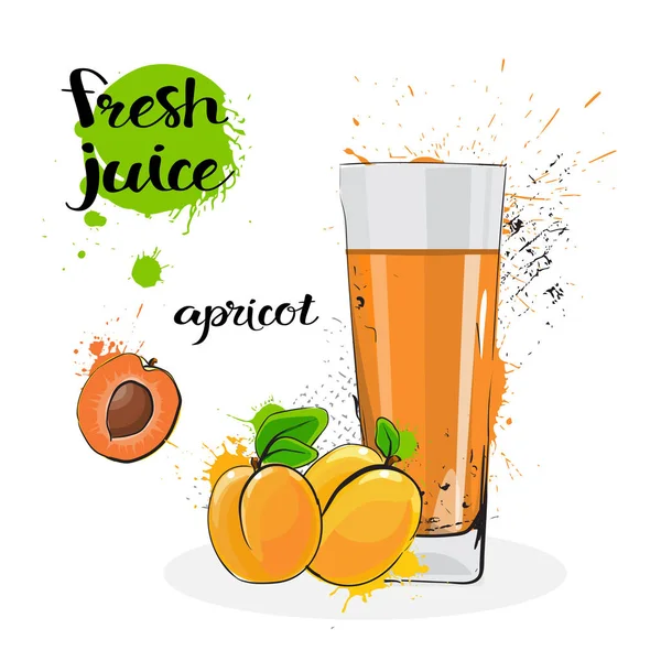 Aprikosensaft frisch von Hand gezogene Aquarellfrüchte und Glas auf weißem Hintergrund — Stockvektor