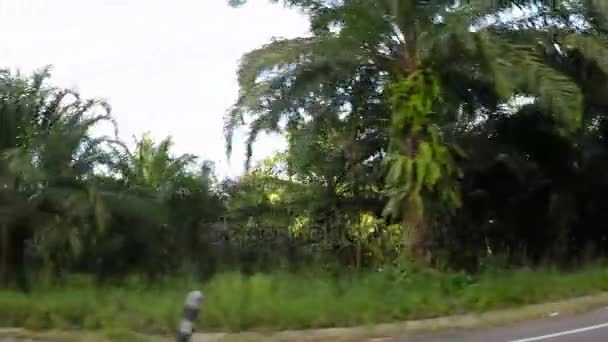 Vue latérale de la route traversant la forêt tropicale et les montagnes Caméra d'action POV 