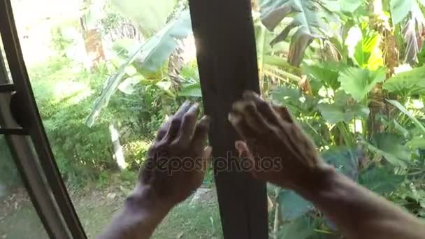 Hombre despierta ventana de apertura en la mañana POV chico caminando desde el dormitorio — Vídeos de Stock