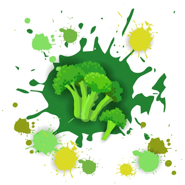 Diseño del chapoteo de la acuarela del logotipo vegetal del brócoli Alimentos naturales frescos — Vector de stock