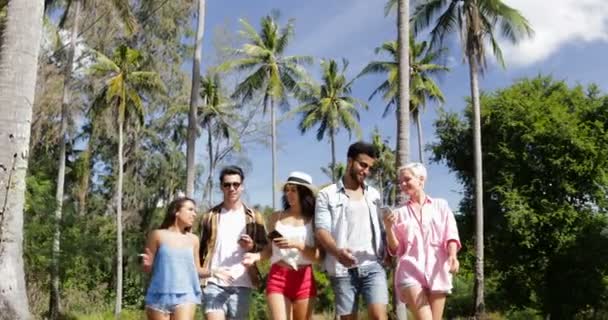 Pessoas Grupo Conversando Comunicação Caminhe ao ar livre através de palmeiras, Feliz Sorrindo Mistura Raça Homem e Mulher Amigos — Vídeo de Stock