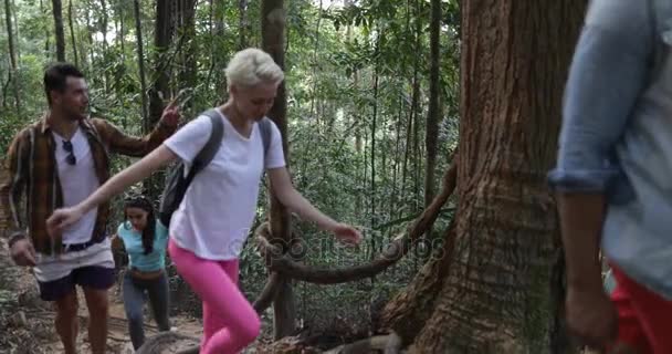 Diverso grupo de personas en el bosque en caminata, turistas caminando por el camino del bosque hablando mientras caminan juntos — Vídeo de stock