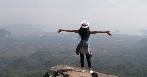Dívka na vrcholu hory Zvedněte ruce při pohledu na krásné Landspace zadní pohled zezadu žena turistické — Stock video