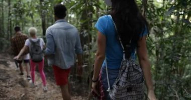 Ağaçların arasından, turistler üzerinde yürüyen sırt çantaları birlikte grup insan yürüyüş Trekking orman yolu arka arka görünüm