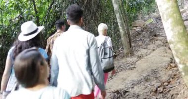 Orman arka arka görünümünde, insanlar zammı birlikte izinde, genç gezginler takım Trekking turist grup