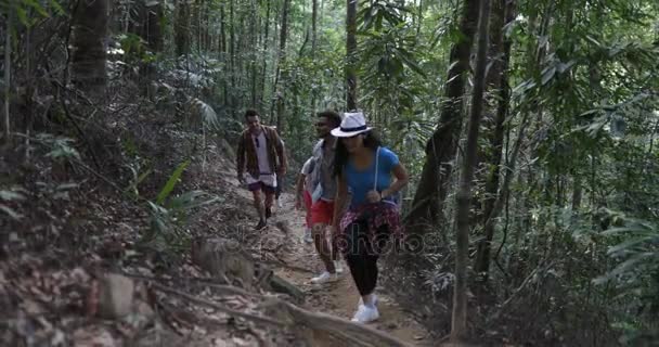 Группа туристов, прогуливающихся по лесам в походе, разнообразных людей, идущих по лесной тропе вместе — стоковое видео