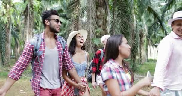 Groupe de personnes avec sacs à dos Randonnée sur le sentier forestier, Jeunes hommes et femmes en randonnée dans le parc tropical de palmiers Touristes — Video