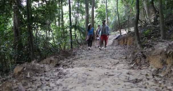 Grupo de turistas Trekking en el camino del bosque, hombres y mujeres jóvenes y diversos en caminata juntos — Vídeos de Stock