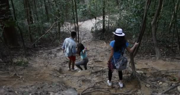 Indietro Retrovisore di gruppo di persone che si spostano in discesa nella foresta, turisti in escursione Trekking Sentiero di legno in vacanza attiva — Video Stock