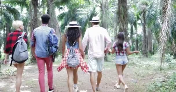 People Group With Backpacks Trekking On Forest Path, Young Men And Woman On Hike In Tropical Palm Tree Park Tourists — Stock Video