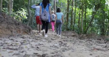 Geri arka görünümü, grup, turist Trekking üzerinde orman yolu yürüyüş yoluyla ağaçlar birlikte üzerinde yürüyüş insanlar sırasında macera tatil
