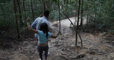 Yokuş aşağı zammı, yürüyüşçüler destek Trekking orman yolu birlikte çeşitli takım ormanda yürüyüş turist grup