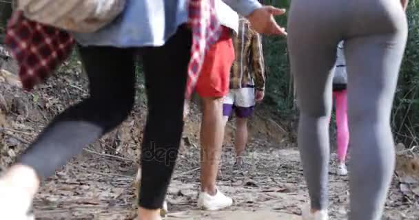 관광객에 숲에서 산책 하는 사람들 그룹 숲에서 Hile Trekkking 경로 혼합 인종 친구 함께 하이킹 — 비디오