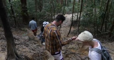 Bir grup insan Donwhill orman, takım üzerinde zam genç turist birlikte yürümek için birbirimize yardımcı