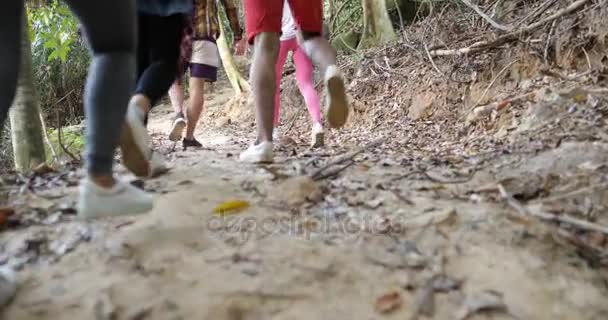 Grupp av turist i skogen tillbaka bakifrån människor Trekking Stig i skogen håller ryggsäckar på vandring — Stockvideo