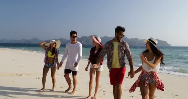 People Walking From Water Talking On Beach, Mix Race Man And Woman Group Tourists Communication — Stock Video