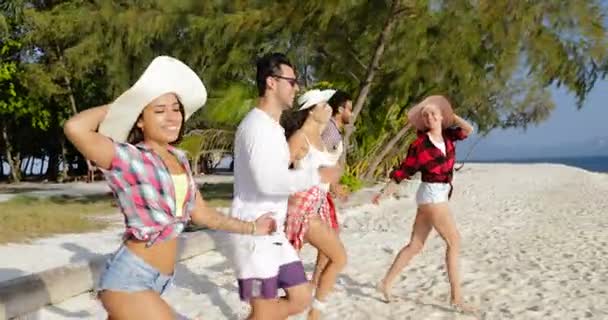 Gente feliz corriendo al agua en la playa, mezcla de hombres de raza y turistas de grupo de mujeres en vacaciones en el mar — Vídeo de stock