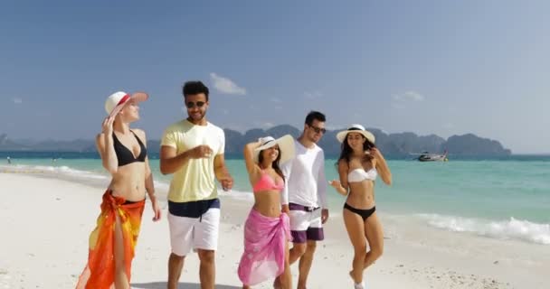 Persone che camminano sulla spiaggia parlare, uomini e donne comunicazione Turisti di gruppo in vacanza estiva — Video Stock