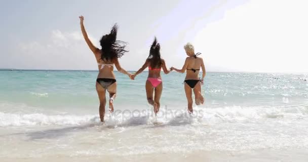 女孩在比基尼在海滩背面手牵手的水中运行后视图，开朗的妇女组游客夏天度假 — 图库视频影像
