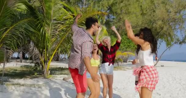 Веселі люди танцюють на пляжі, суміш гонки чоловіків і жінок з весело друзів разом у відпустці — стокове відео