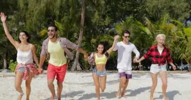 İnsanlar el, Mix yarış Erkekler ve kadınlar mutlu tutarak kumsalda çalışan grup özgürlük, arkadaş birlikte tatile zevk.