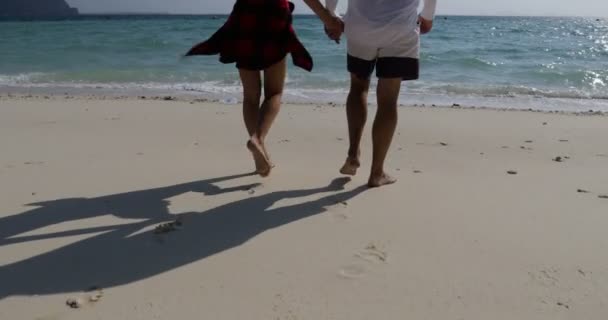 Ζευγάρι έρχεται στο νερό στην παραλία πίσω πίσω όψη, ο άνθρωπος και γυναίκα ευτυχισμένη αυξάνοντας διακοπές στη θάλασσα τα χέρια — Αρχείο Βίντεο
