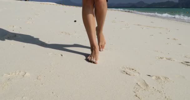 Pernas femininas andando na praia Closeup, mulher urso pés passos no litoral — Vídeo de Stock