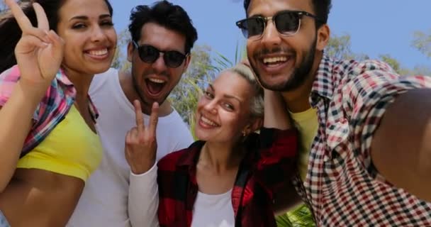Άτομα ομάδας Πάρτε Selfie φωτογραφία στο κινητό έξυπνο τηλέφωνο ευτυχισμένη χαμογελώντας, αναμίξτε αγώνας ανδρών και γυναικών — Αρχείο Βίντεο