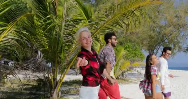 Дві пари, що йдуть на пляжі тримає руки, дівчина ласкаво просимо вас приєднатися, щаслива посміхаючись туристична група на літній відпочинок — стокове відео