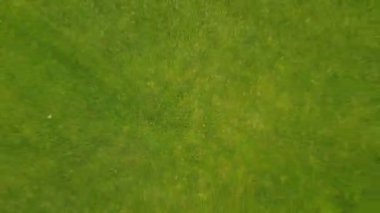 Çift yürüme havadan görünümü açık havada, robot genç adam ve kadın Up Quadcopter arıyor yukarıda çember çekim