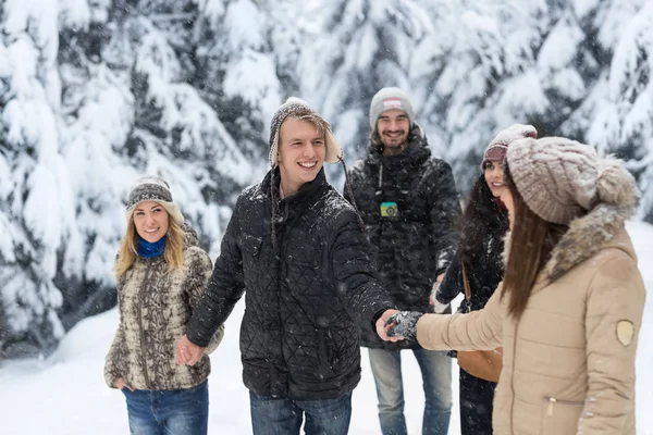 Freunde Gruppe Schnee Wald glücklich lächelnde junge Leute zu Fuß im Freien — Stockfoto