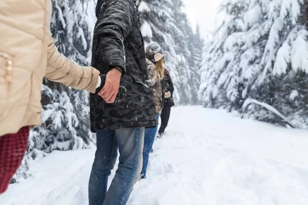 Meg csoport hó erdő fiatalok szabadtéri séta — Stock Fotó