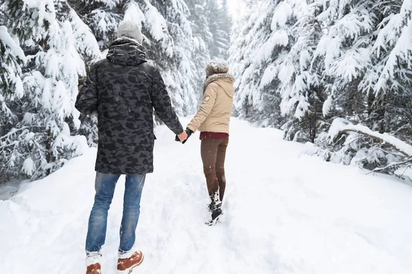 Fiatal pár séta hóban erdőben kültéri férfi és nő tartja kezében hátsó nézet — Stock Fotó