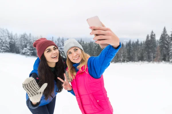 Δύο κορίτσι λήψη Selfie φωτογραφία στο Smart Phone χιονισμένο βουνό νεαρή γυναίκα χειμώνα χιόνι — Φωτογραφία Αρχείου